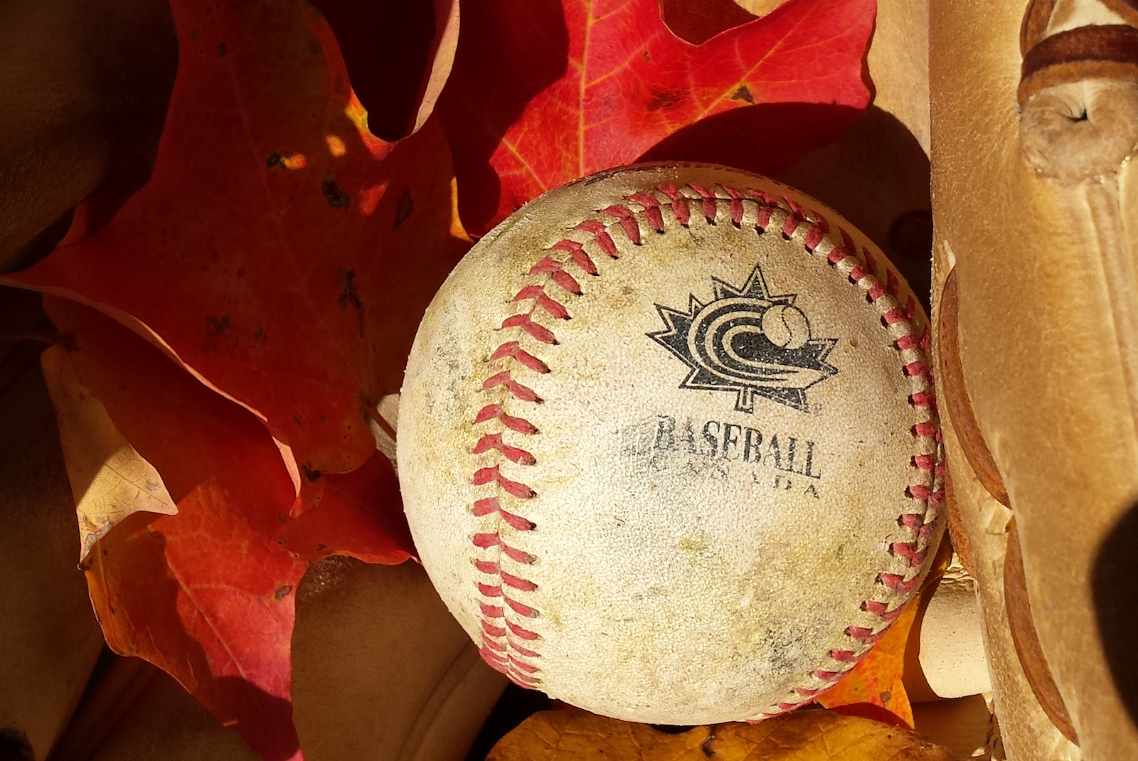 La convention d'automne de Baseball Canada à Hamilton, du 16 au 19 novembre