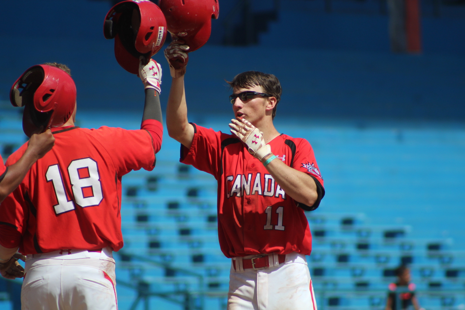Baseball Canada reveals Fall Instructional League Roster